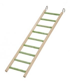 Small 9 Step Ladder