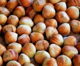 Hazel Nuts In Shell - Human Grade 10kg
