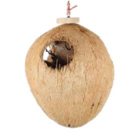 Coco Full Moon Large Natural Foraging Toy