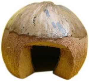 Coconut Den Natural Toy
