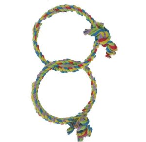 Pollys Double Rope Hoops Climbing Toy