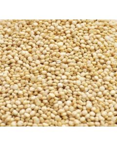 Quinoa 1kg Rat Treat White