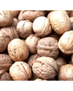 New Season Jumbo Hartley Walnuts - Human Grade 1kg