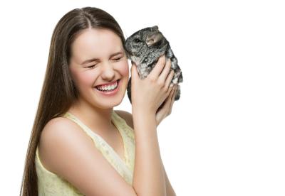 All you need to know about Chinchilla care 
