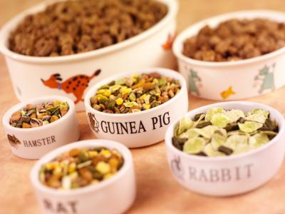  What to consider before buying pet food