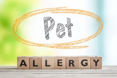 How to reduce allergies to your pet rodent
