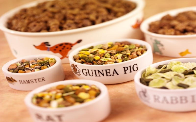  What to consider before buying pet food