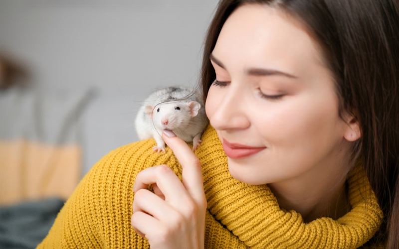 Choosing Your Pet Rats’ Home